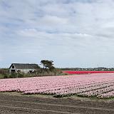 011 Koningsdag